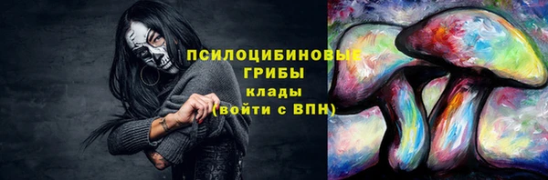 трава Киренск