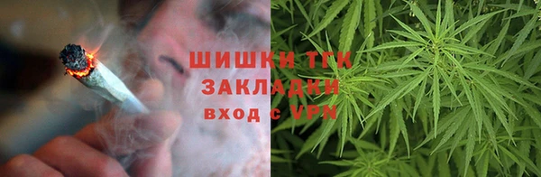 молекула духа Кинешма