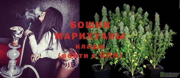 молекула духа Кинешма