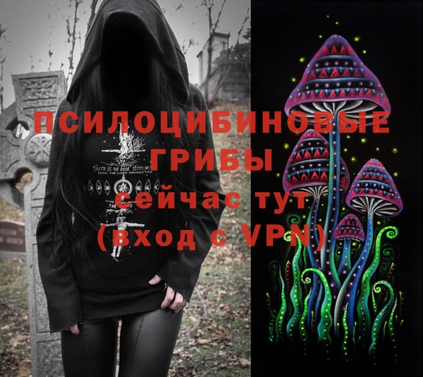 молекула духа Кинешма