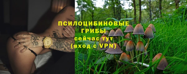 альфа пвп Киреевск