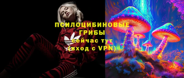 молекула духа Кинешма